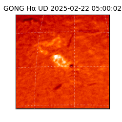 gong - 2025-02-22T05:00:02