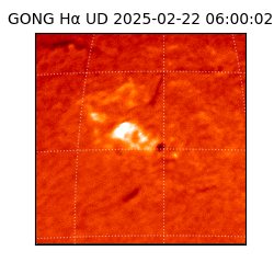 gong - 2025-02-22T06:00:02