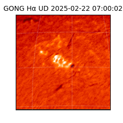 gong - 2025-02-22T07:00:02