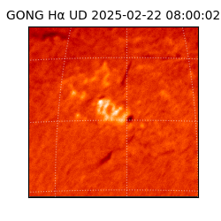 gong - 2025-02-22T08:00:02