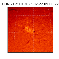 gong - 2025-02-22T09:00:22