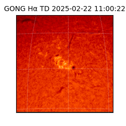 gong - 2025-02-22T11:00:22