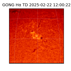 gong - 2025-02-22T12:00:22