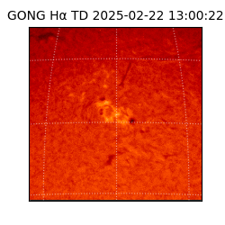gong - 2025-02-22T13:00:22