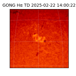 gong - 2025-02-22T14:00:22