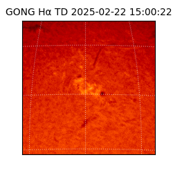 gong - 2025-02-22T15:00:22