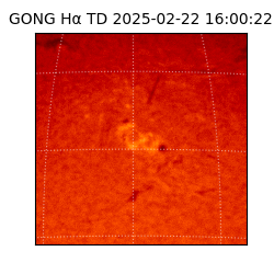 gong - 2025-02-22T16:00:22