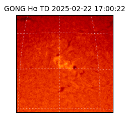 gong - 2025-02-22T17:00:22