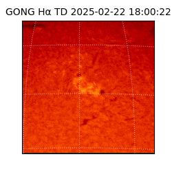 gong - 2025-02-22T18:00:22