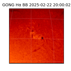 gong - 2025-02-22T20:00:02