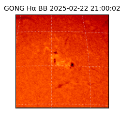 gong - 2025-02-22T21:00:02