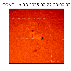 gong - 2025-02-22T23:00:02