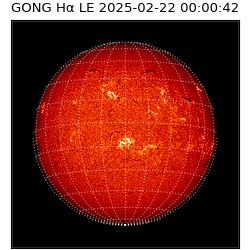 gong - 2025-02-22T00:00:42