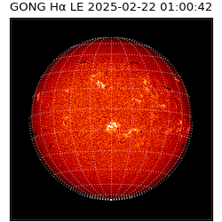 gong - 2025-02-22T01:00:42