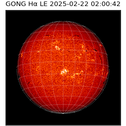 gong - 2025-02-22T02:00:42