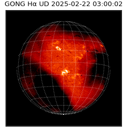 gong - 2025-02-22T03:00:02