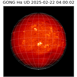 gong - 2025-02-22T04:00:02