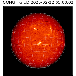 gong - 2025-02-22T05:00:02