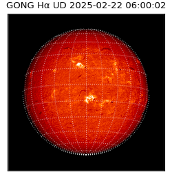 gong - 2025-02-22T06:00:02