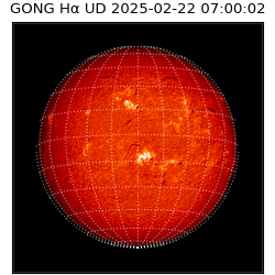 gong - 2025-02-22T07:00:02
