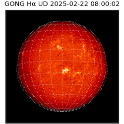 gong - 2025-02-22T08:00:02