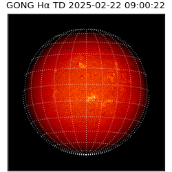 gong - 2025-02-22T09:00:22