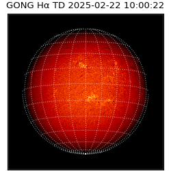 gong - 2025-02-22T10:00:22
