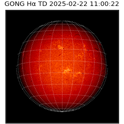 gong - 2025-02-22T11:00:22