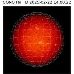 gong - 2025-02-22T14:00:22