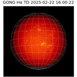 gong - 2025-02-22T16:00:22