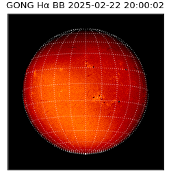 gong - 2025-02-22T20:00:02