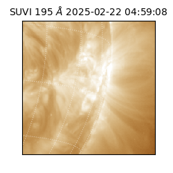 suvi - 2025-02-22T04:59:08.115000