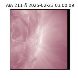 saia - 2025-02-23T03:00:09.618000