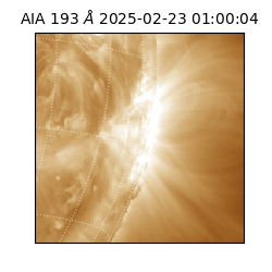 saia - 2025-02-23T01:00:04.846000