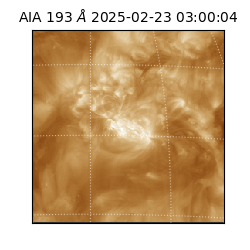 saia - 2025-02-23T03:00:04.835000