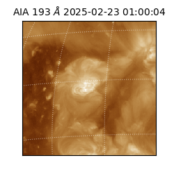 saia - 2025-02-23T01:00:04.846000