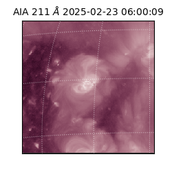 saia - 2025-02-23T06:00:09.626000