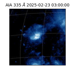 saia - 2025-02-23T03:00:00.626000