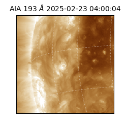 saia - 2025-02-23T04:00:04.843000