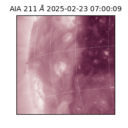 saia - 2025-02-23T07:00:09.622000