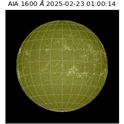 saia - 2025-02-23T01:00:14.126000