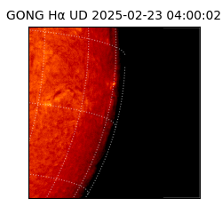 gong - 2025-02-23T04:00:02