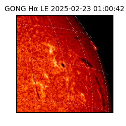 gong - 2025-02-23T01:00:42
