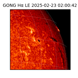 gong - 2025-02-23T02:00:42