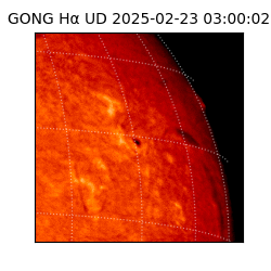 gong - 2025-02-23T03:00:02
