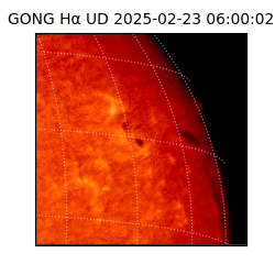 gong - 2025-02-23T06:00:02