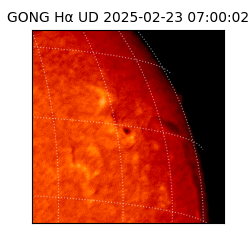 gong - 2025-02-23T07:00:02