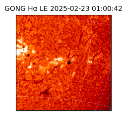 gong - 2025-02-23T01:00:42