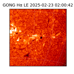 gong - 2025-02-23T02:00:42