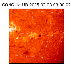 gong - 2025-02-23T03:00:02